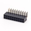 10pcs Right Angle Dual Row Female Header 20 Way Through Hole for PCB Mount