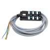 Splitter M12 Indicatore NPNLED a doppio canale a 6 porte Cavo catena portacavi PUR Grigio 1 metro1 m