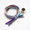 M23 Cable 19Pin Male Waterproot Socket High Flexibility Wiring Harness For Industrial Robot Shield With 75CM 20AWG Wire