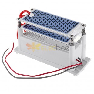 Generador de ozono de 110V220V, 10 g/h, máquina de desinfección eléctrica, revestimiento de olores de formaldehído, purificador de aire integrado a prueba de humedad 110V