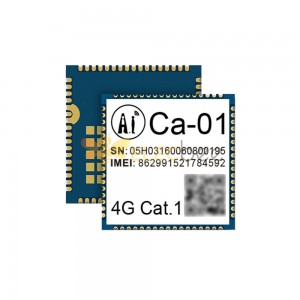 Module de Communication sans fil 4G Full Netcom LTE IoT Ultra-petit Ca-01 GPIO/UART/ADC