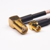 SMA Cable Right Angled Femme à MCX Right Angled Femelle RF Coaxial Câble avec RG316 10cm