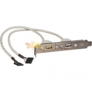 Placa de ranura hembra tipo A USB de 2 puertos a conectores hembra IDC de 5 pines Cable adaptador de perfil bajo 30cm