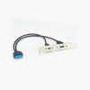 USB 3.1 タイプ C およびタイプ A パネル ケーブル マウント マザーボード ヘッダー 高速延長アダプター 30CM