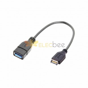 Câble d'extension d'en-tête de panneau avant USB 3.0 Type-A femelle vers USB 3.1 20 cm