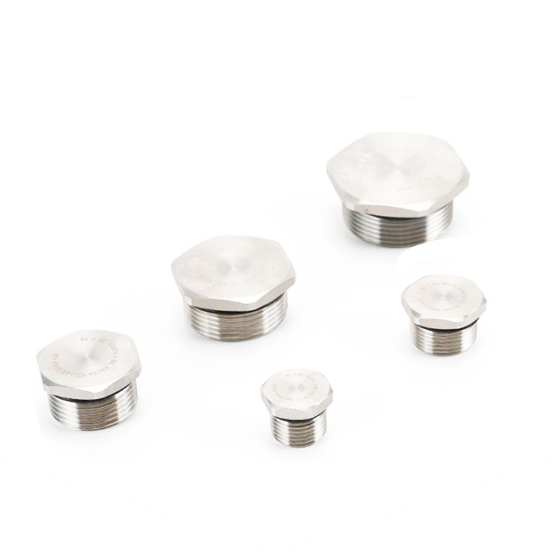 304/316 stainless steel explosion-proof plug, external hexagonal plug, waterproof stuffy cover, dust-proof plug, ethical thread