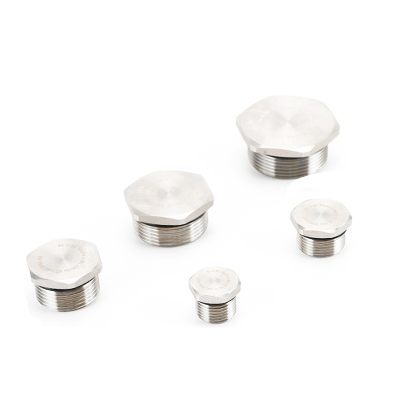 304/316 stainless steel explosion-proof plug, external hexagonal plug, waterproof stuffy cover, dust-proof plug, ethical thread