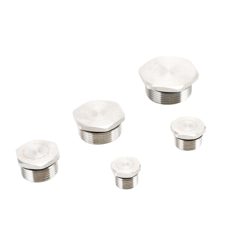 Directly supplied from the manufacturer, stainless steel brass threaded explosion-proof plugs, brass external hexagonal screw plugs, waterproof and dustproof stuffy covers