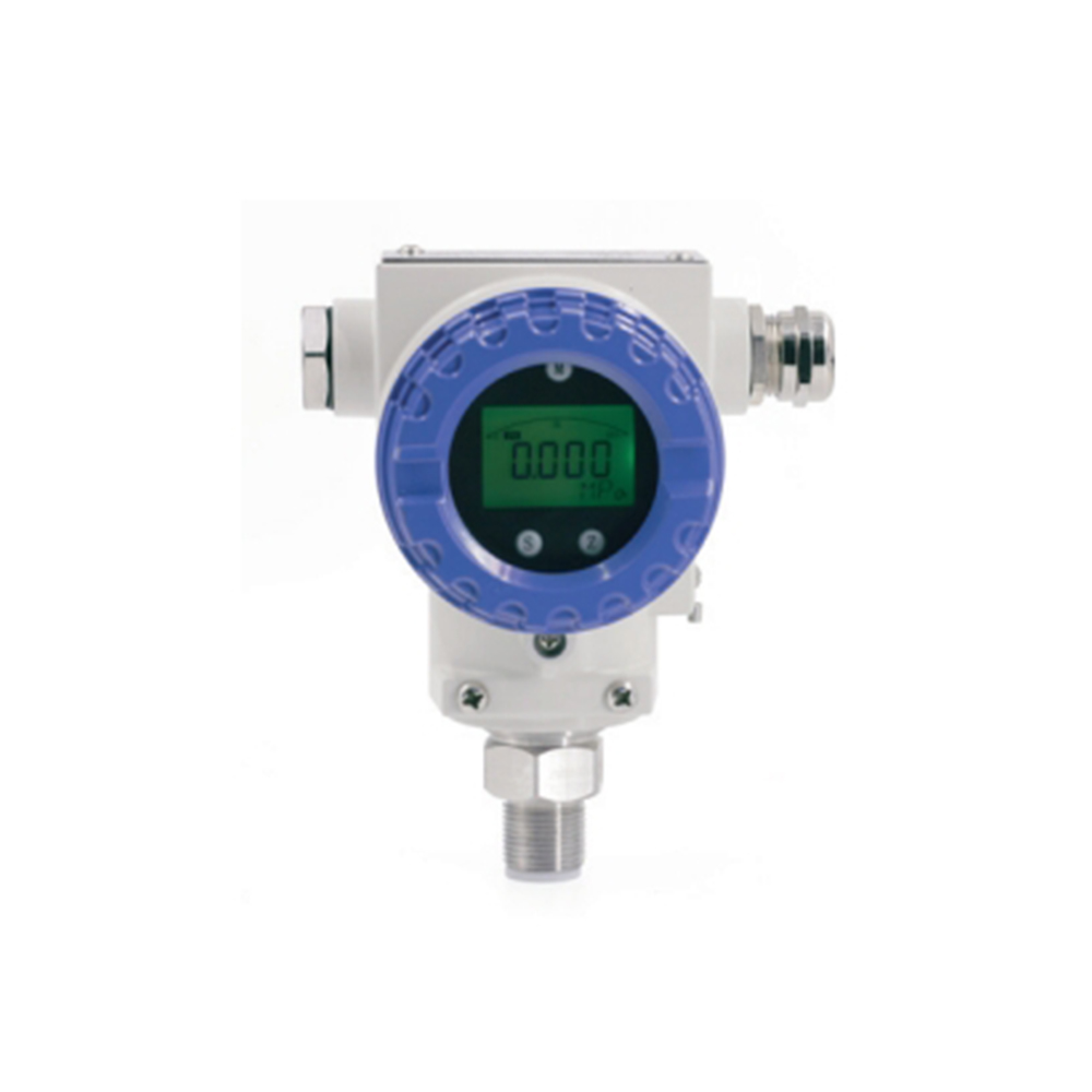 EB-JYB-KB-P Protective Explosion-proof Pressure Transmitter