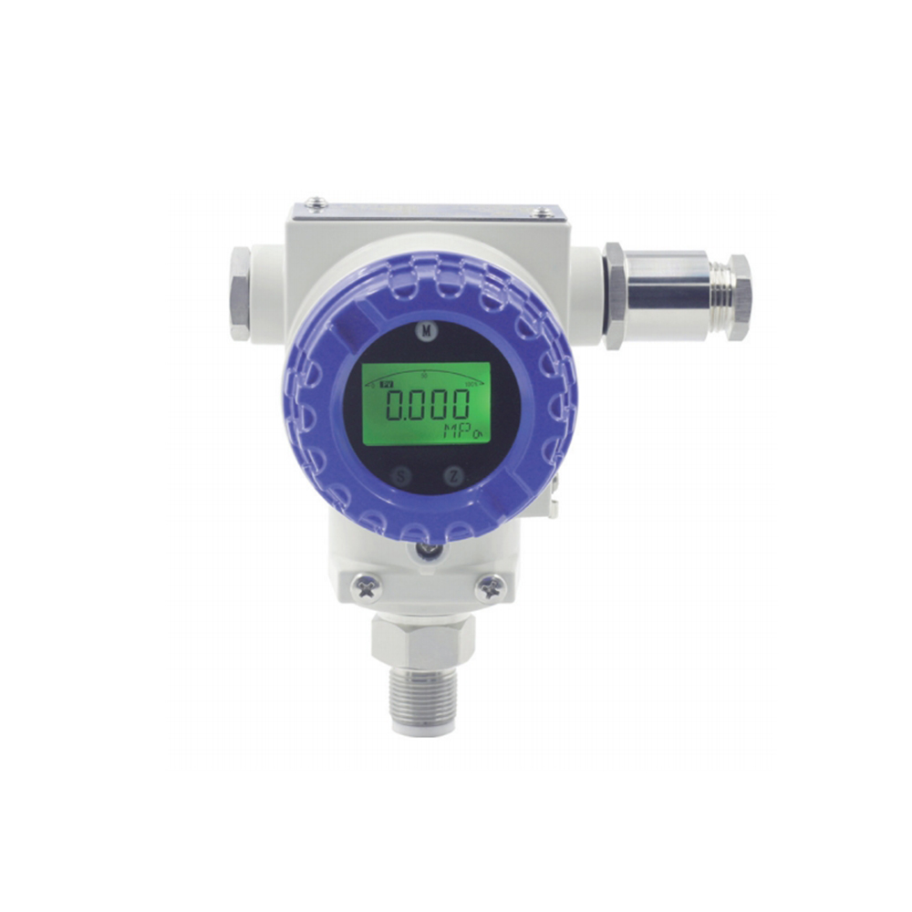 EB-JYB-KG-P Protective Explosion-proof Pressure Transmitter