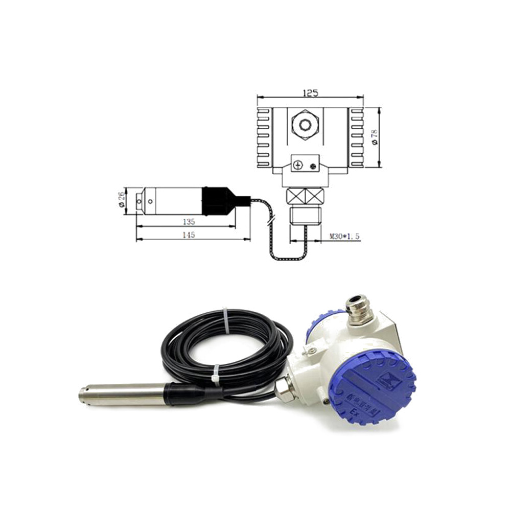 EB-JYB-KO-Y5 Split Liquid Level Transmitter