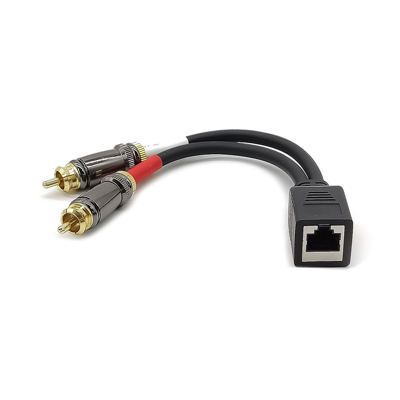 RJ45-Buchse auf Dual-RCA-Stecker-Adapterkabel, 0,25 m, für Axia