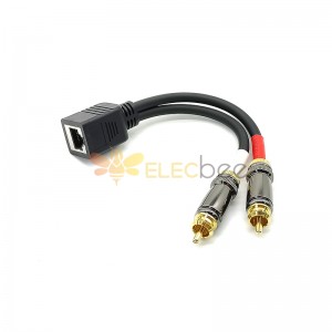 كابل محول RJ45 أنثى إلى ثنائي RCA ذكر 0.25 متر لأكسيا