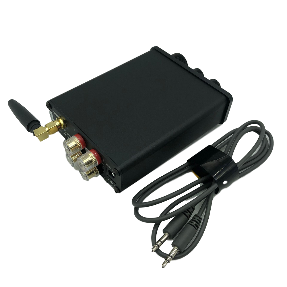 Mini amplificador de audio esB094N6H21T